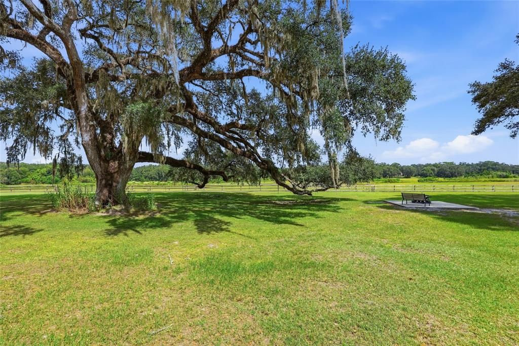For Sale: $1,399,000 (5 beds, 3 baths, 2440 Square Feet)