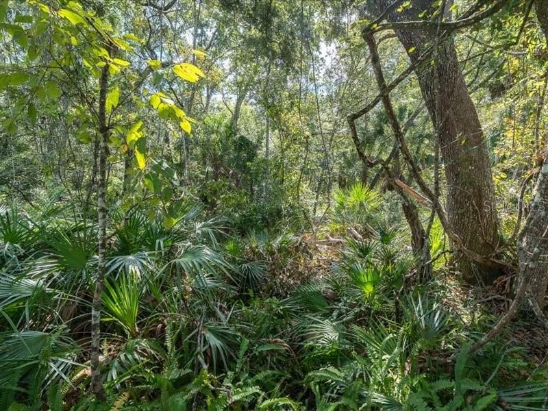 En Venta: $499,000 (3 camas, 2 baños, 1901 Pies cuadrados)