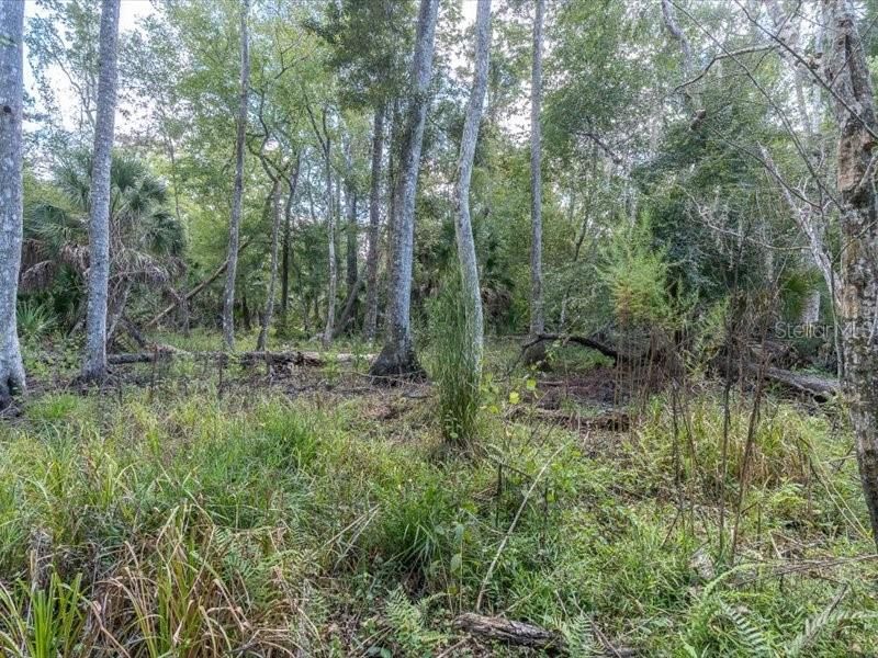 En Venta: $499,000 (3 camas, 2 baños, 1901 Pies cuadrados)