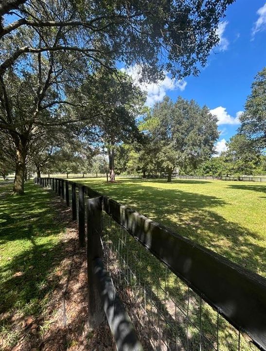 En Renta: $6,500 (3 camas, 2 baños, 1912 Pies cuadrados)
