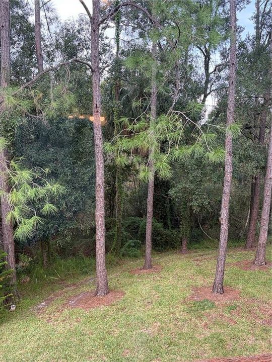 For Rent: $1,900 (2 beds, 2 baths, 1184 Square Feet)