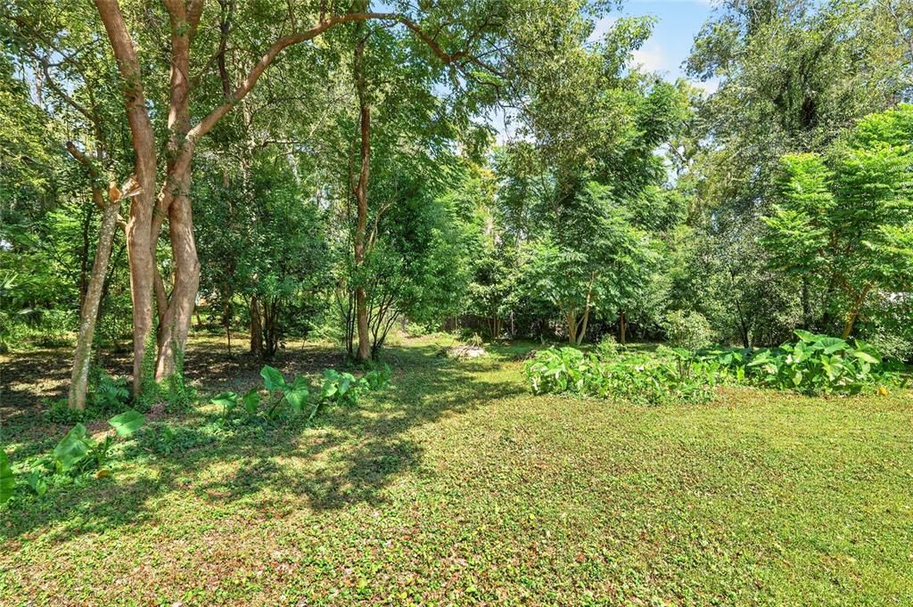 En Venta: $194,900 (3 camas, 1 baños, 1236 Pies cuadrados)