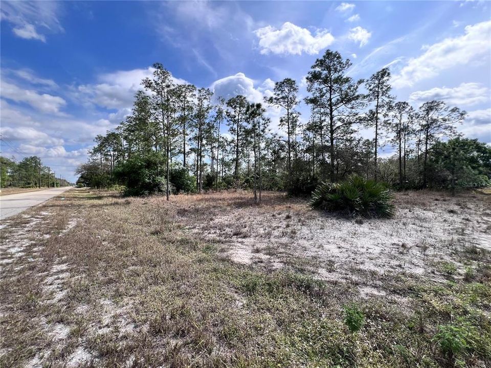 For Sale: $26,500 (0.25 acres)