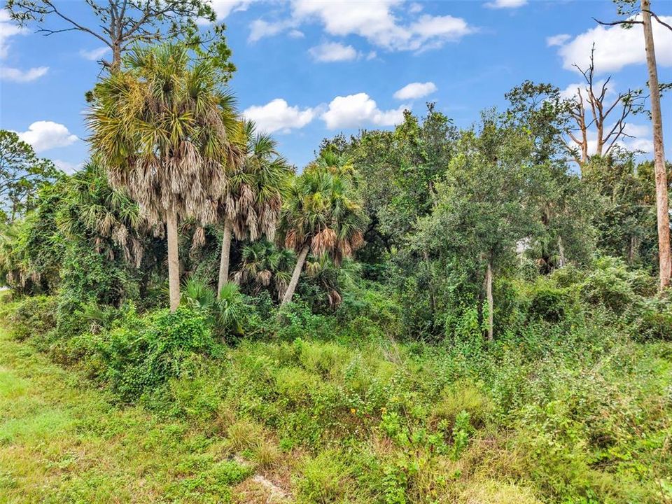 待售: $198,999 (0.54 acres)
