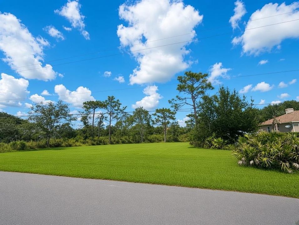 На продажу: $187,000 (1.03 acres)