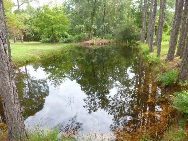 En Venta: $650,000 (3 camas, 2 baños, 1560 Pies cuadrados)