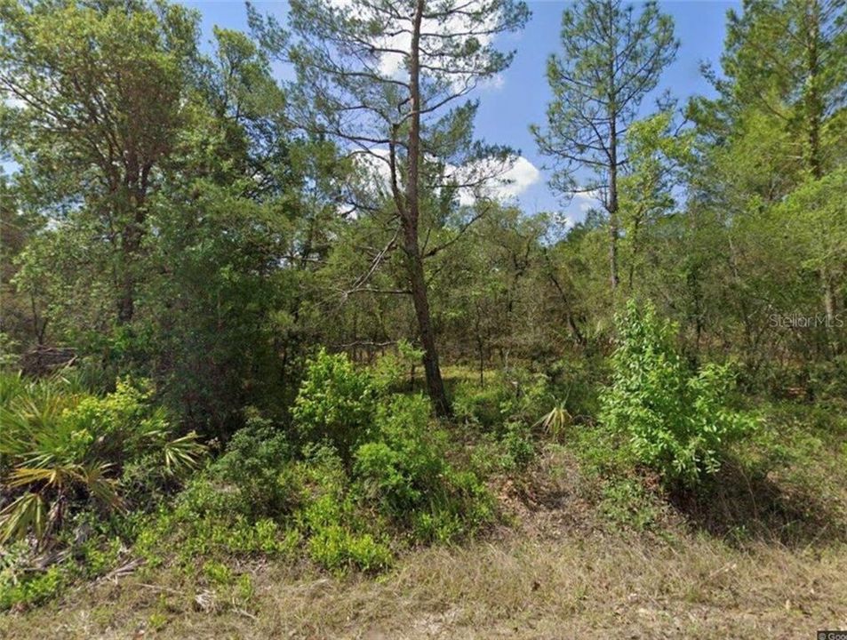 待售: $65,000 (2.51 acres)