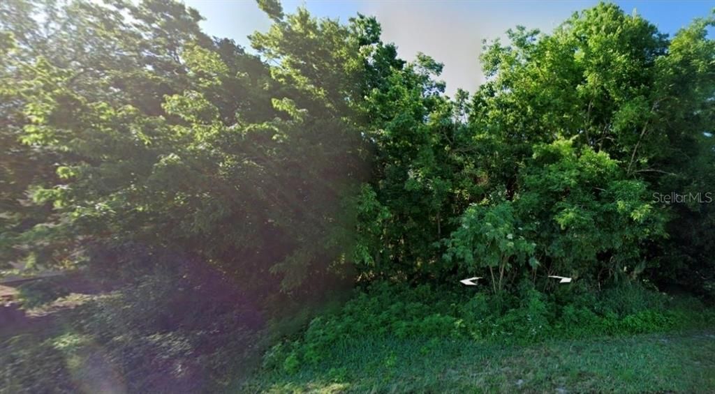 待售: $70,000 (0.23 acres)