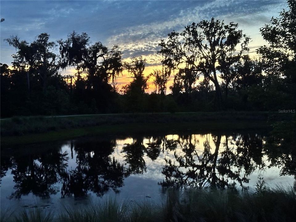 На продажу: $995,000 (4 спален, 2 ванн, 3325 Квадратных фут)