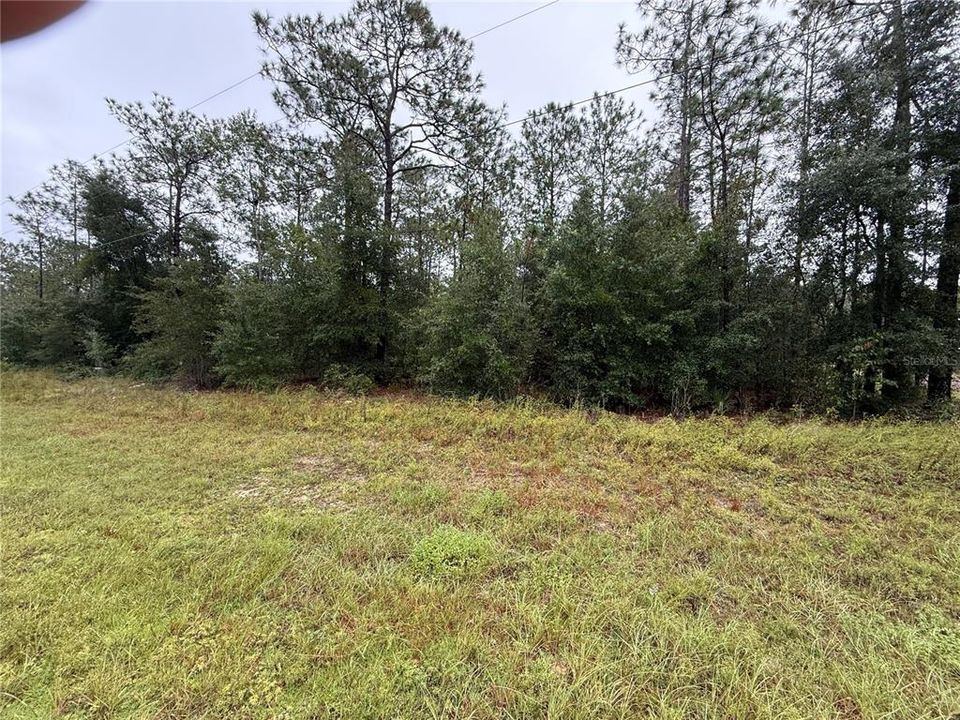 For Sale: $275,000 (1.06 acres)