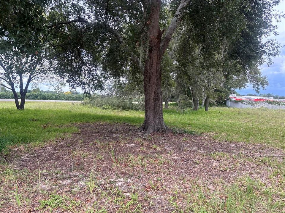 For Sale: $60,000 (0.35 acres)
