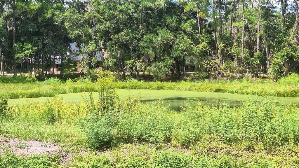Activo con contrato: $395,000 (3 camas, 2 baños, 1424 Pies cuadrados)