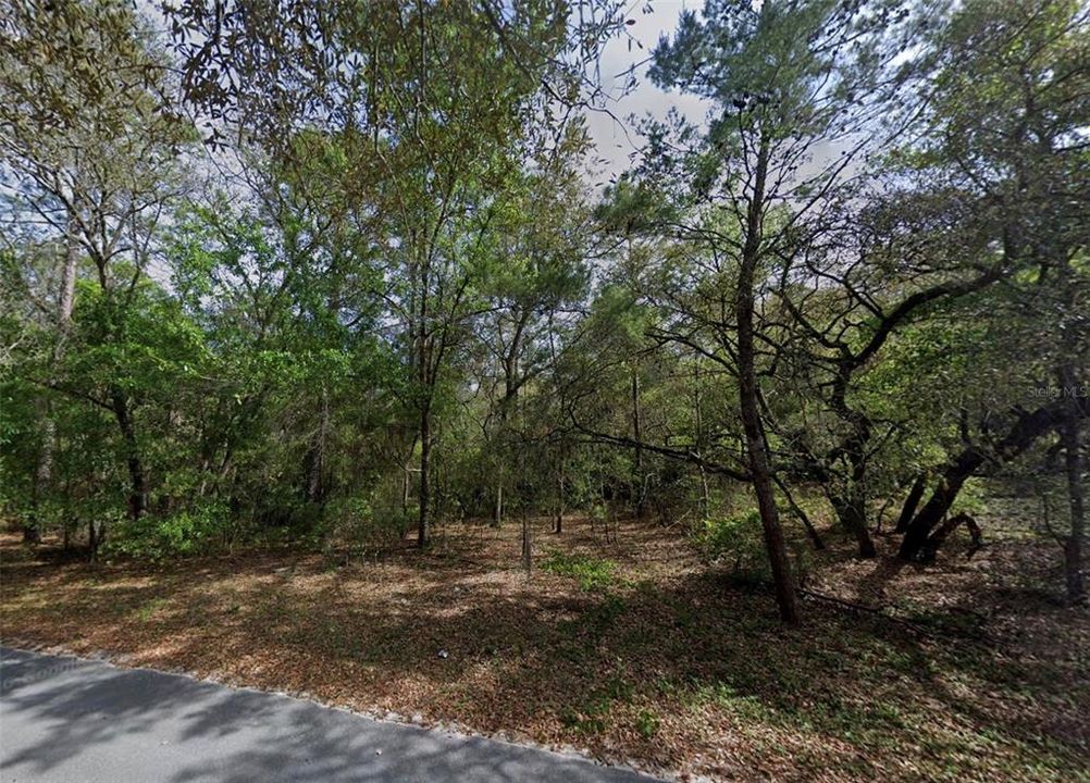 待售: $77,999 (1.75 acres)