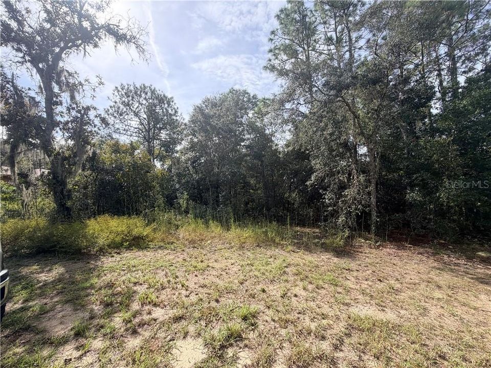 For Sale: $19,500 (0.31 acres)