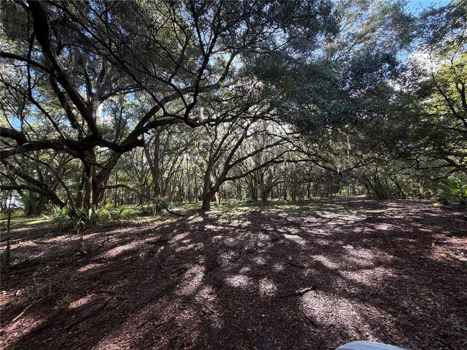 For Sale: $1,400,000 (74.19 acres)
