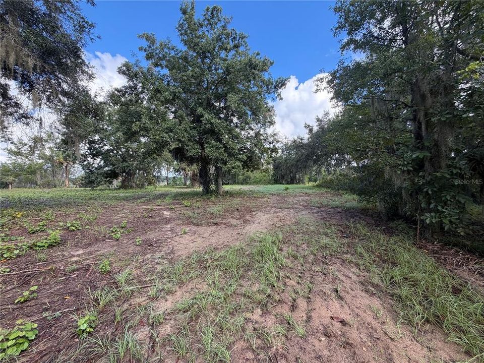 For Sale: $1,400,000 (74.19 acres)