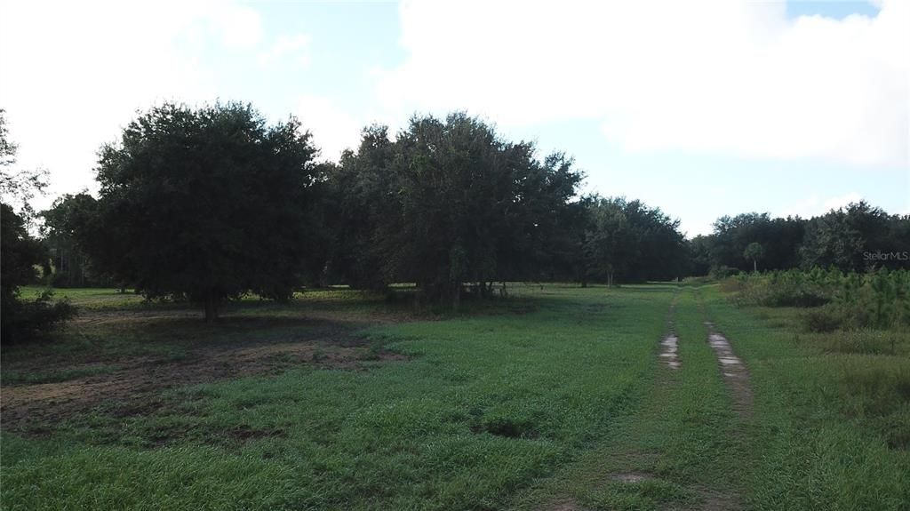 For Sale: $1,400,000 (74.19 acres)