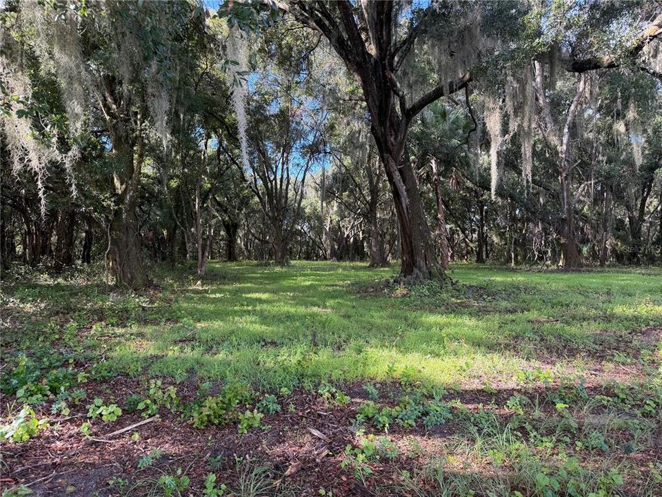 For Sale: $1,400,000 (74.19 acres)