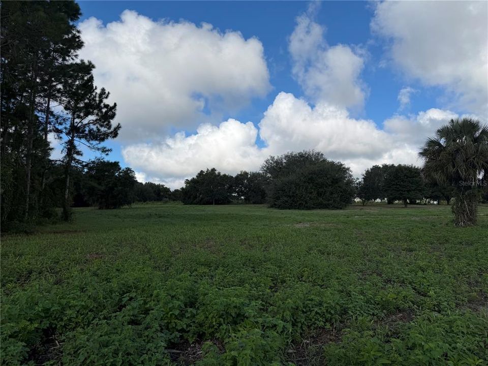 For Sale: $1,400,000 (74.19 acres)