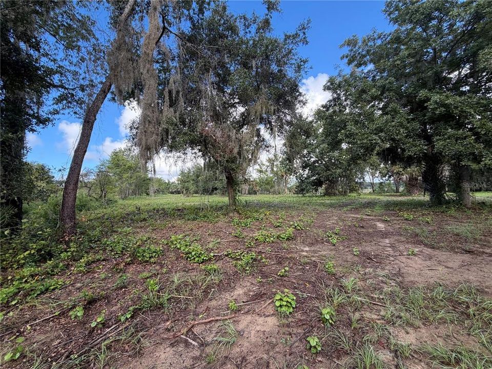 For Sale: $1,400,000 (74.19 acres)