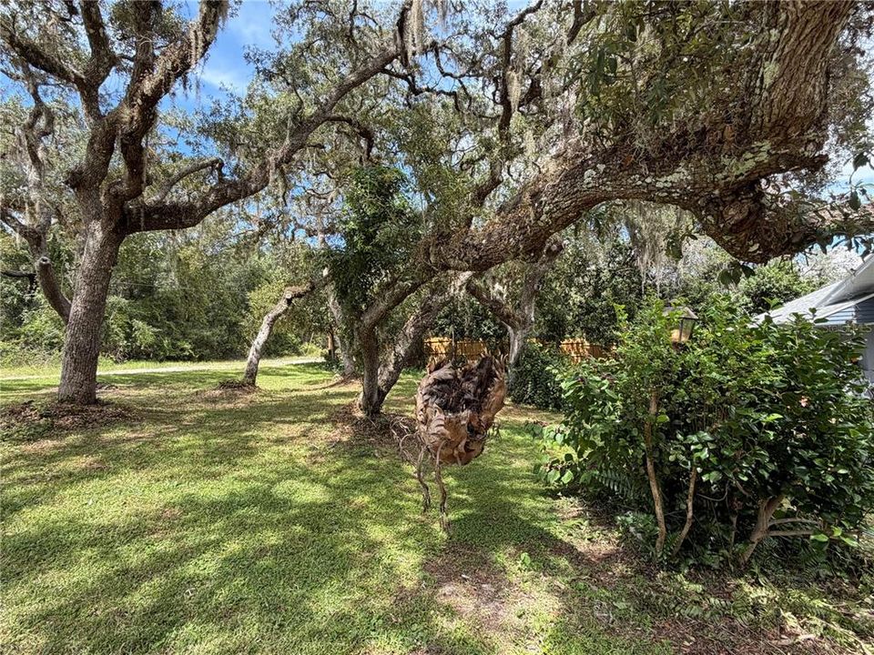 For Sale: $385,000 (3 beds, 2 baths, 2168 Square Feet)