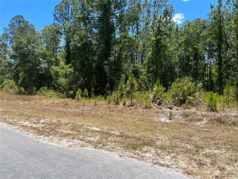 На продажу: $16,500 (0.50 acres)