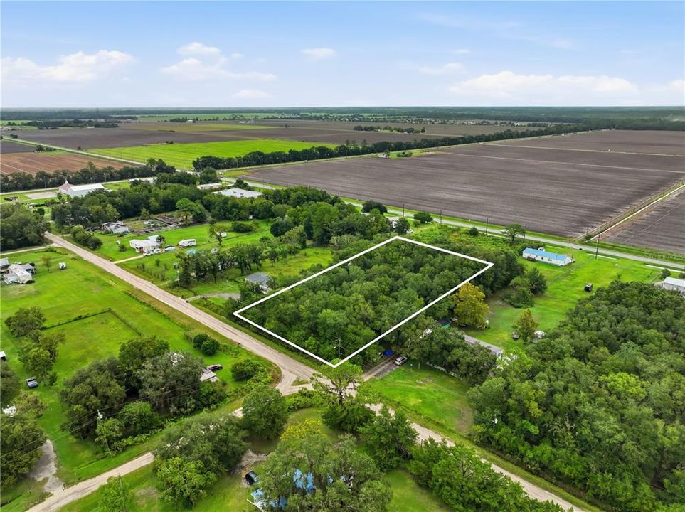 待售: $55,000 (1.18 acres)