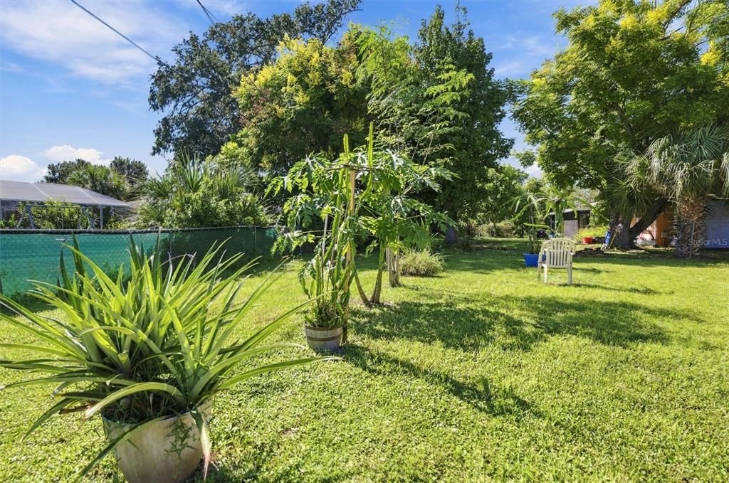 На продажу: $250,000 (3 спален, 2 ванн, 1588 Квадратных фут)