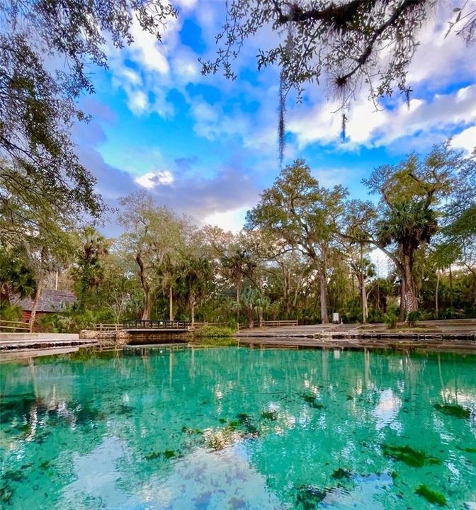На продажу: $199,900 (9.03 acres)