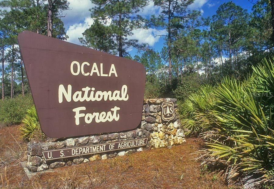 На продажу: $199,900 (9.03 acres)