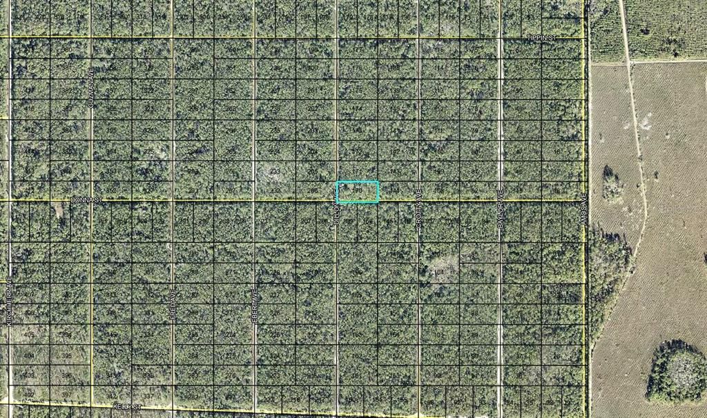 For Sale: $15,000 (1.25 acres)