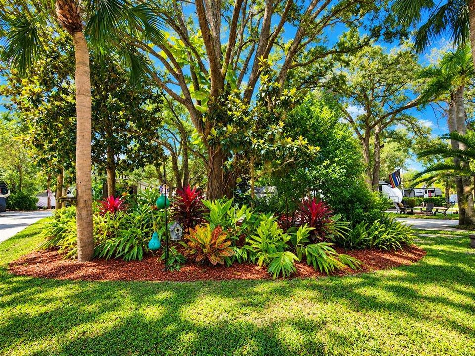 For Sale: $99,000 (0.06 acres)