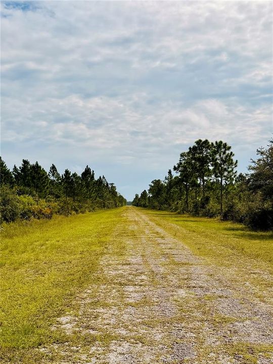 En Venta: $16,500 (0.50 acres)