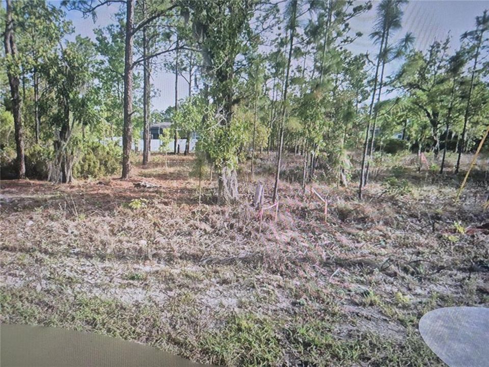 En Venta: $21,000 (0.26 acres)