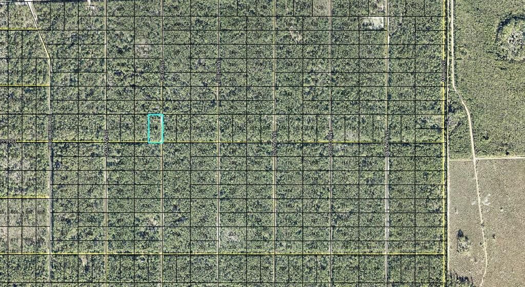 En Venta: $15,000 (1.25 acres)