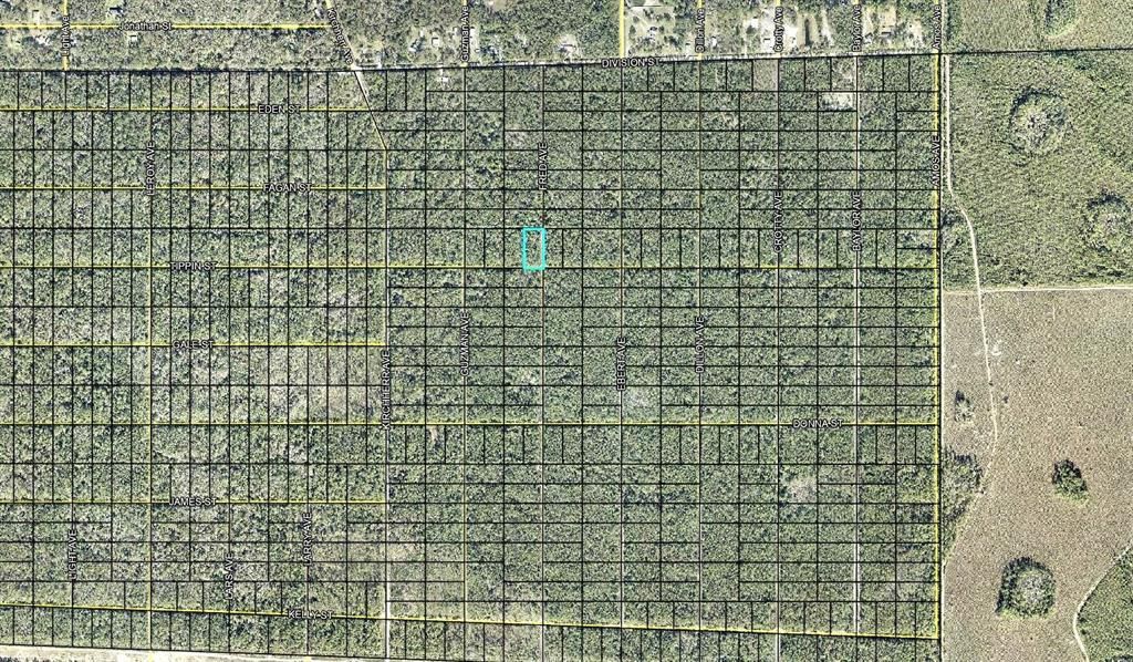 En Venta: $15,000 (1.25 acres)