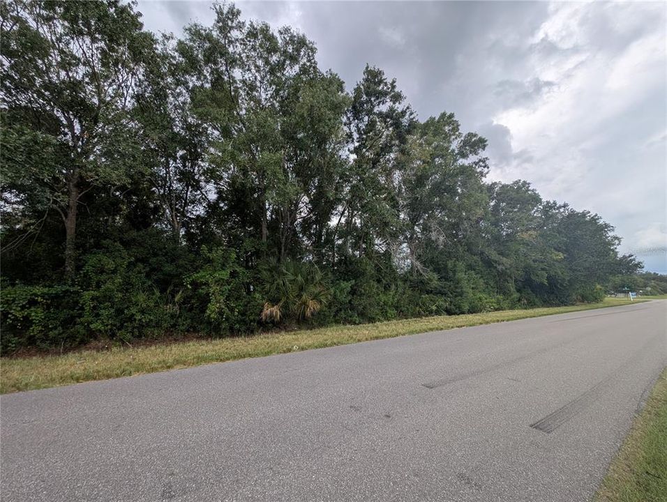 Active With Contract: $199,991 (1.01 acres)