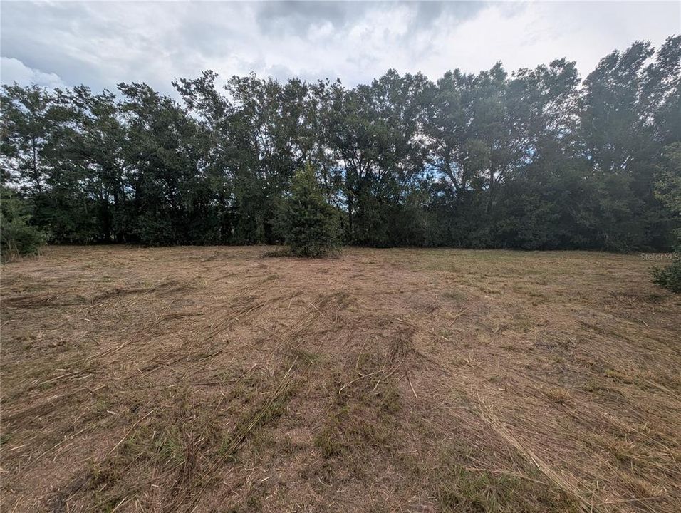 Active With Contract: $199,991 (1.01 acres)