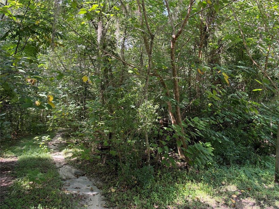 待售: $30,000 (0.36 acres)
