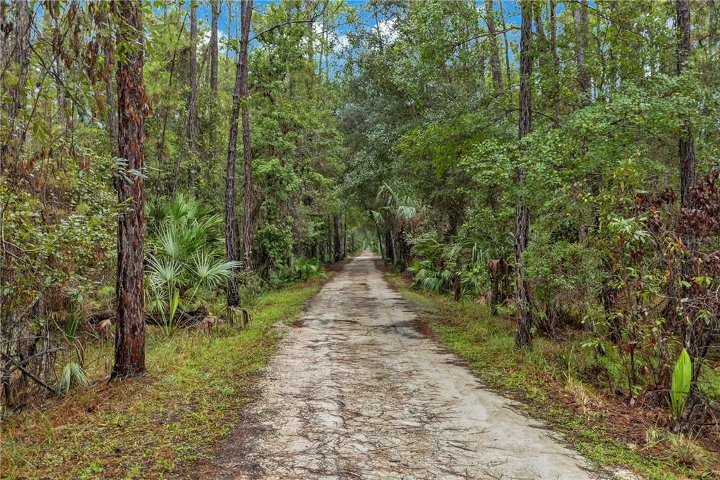 En Venta: $149,900 (20.45 acres)