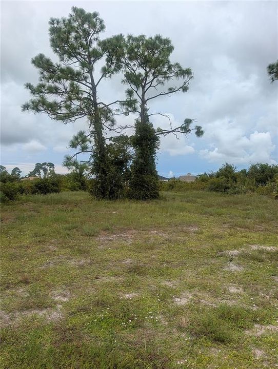 En Venta: $15,000 (0.17 acres)