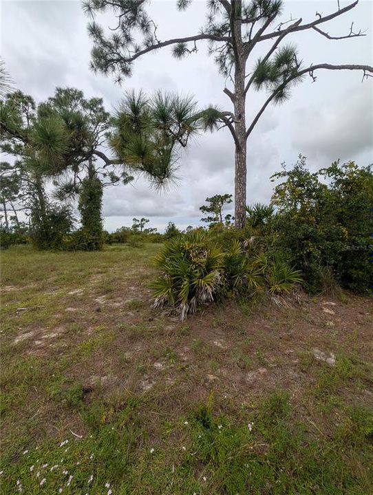 En Venta: $15,000 (0.17 acres)