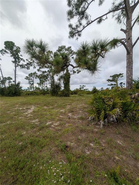 En Venta: $15,000 (0.17 acres)