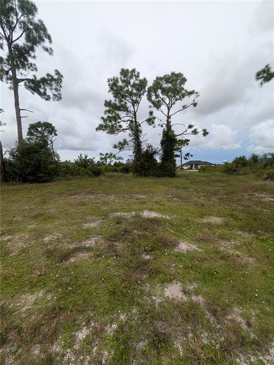 En Venta: $15,000 (0.17 acres)