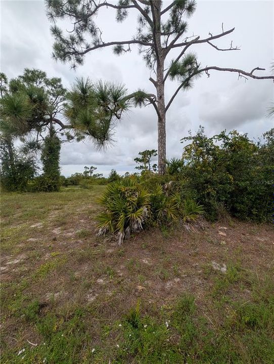 En Venta: $15,000 (0.17 acres)