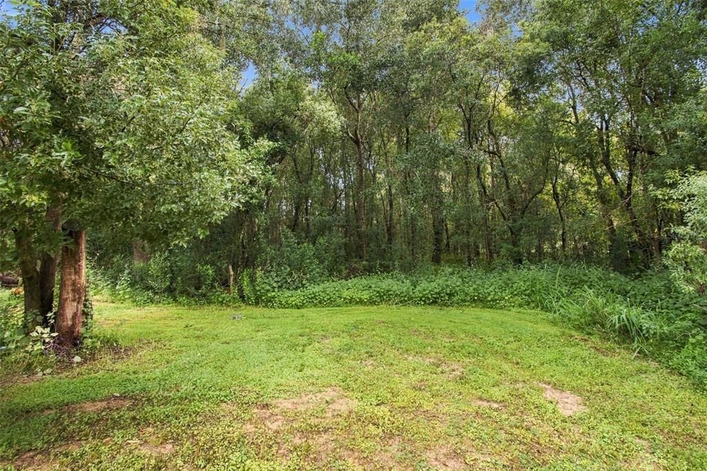 For Sale: $165,000 (20.00 acres)