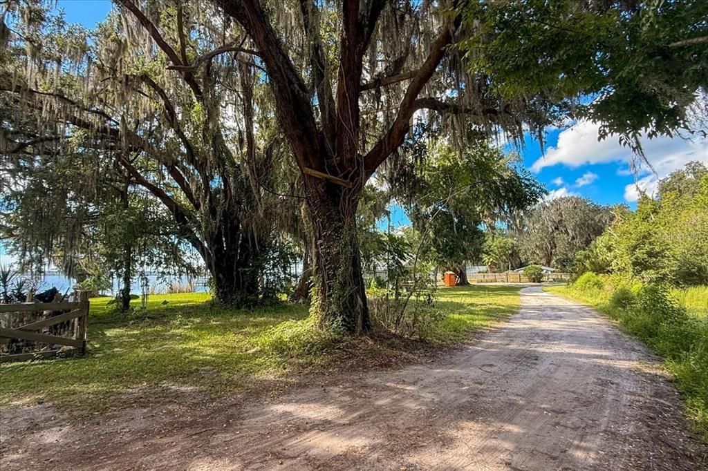 For Sale: $238,000 (0.34 acres)