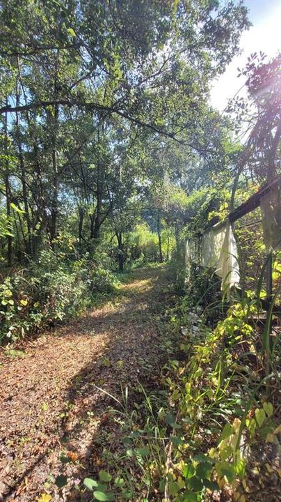 For Sale: $265,000 (4.29 acres)