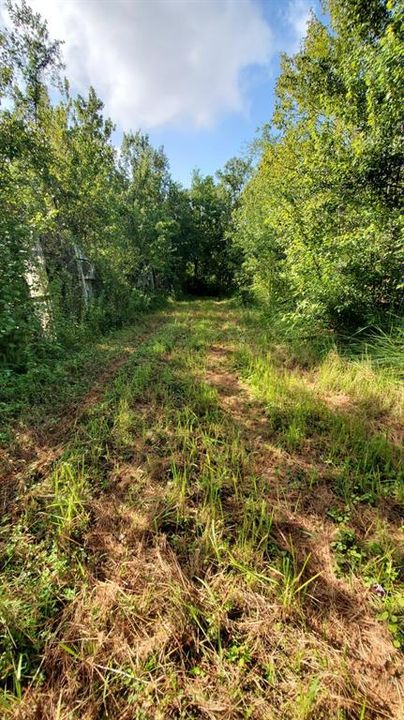 For Sale: $265,000 (4.29 acres)