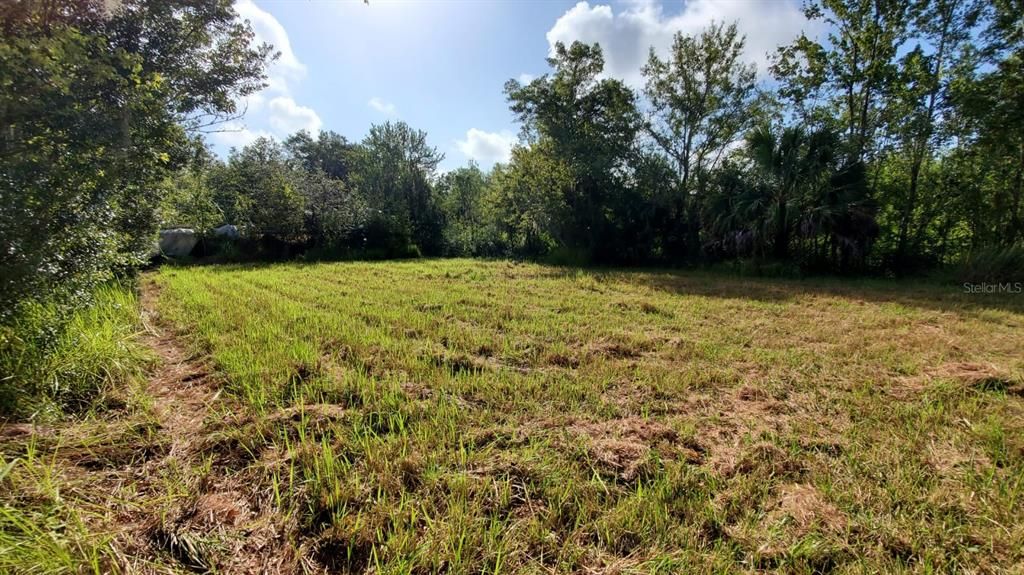 For Sale: $265,000 (4.29 acres)